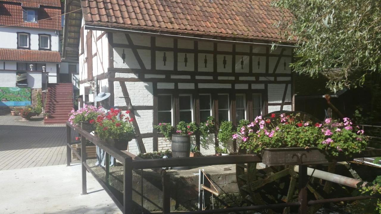 Waldhotel Pfarrmuehle Eisenberg  Zewnętrze zdjęcie