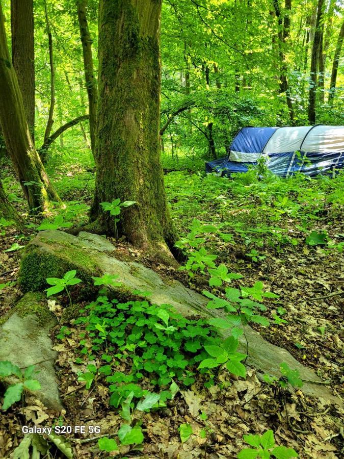 Waldhotel Pfarrmuehle Eisenberg  Zewnętrze zdjęcie